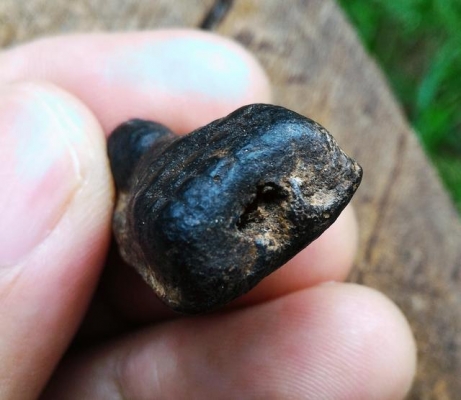 หลวงปู่ทวด พิมพ์พระรอด เนื้อว่านเก่าคราบเก่า ควรค่าน่าสะสม พระหิ้งพระบ้าน