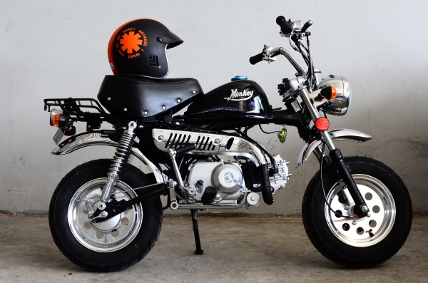 โปรโมชั่นใหม่ที่แสนจะพิเศษ ลดราคาพิเศษ มังกี้ กอลิล่า เดิม!!+สีสันโดนใจ จัดโปรลดพิเศษ ราคาเริ่มที่..