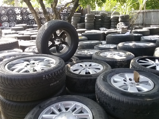 มาแล้วครับมีมาให้เลื้อกขายปลีก,ส่ง,เหมา ครับ