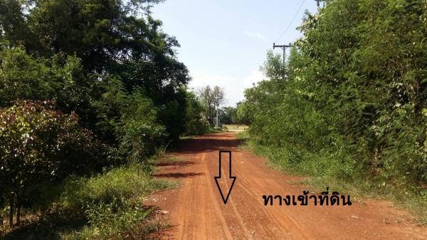 ขายที่ดินใน อ.ตาพระยา จ.สระแก้ว