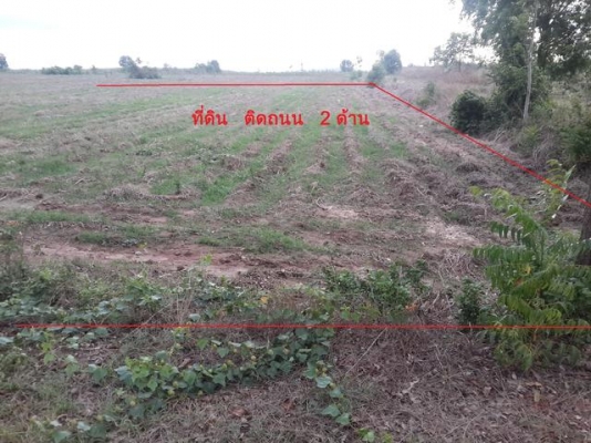 ที่ดินเปล่า ด่วนๆๆ ขายที่ดินเปล่า เกาะขนุน อ.พนมสารคาม ใกล้โรงาน บ.เอ็ม แอล ที โซล่าร์ เอเนอร์จี้ โปรดักส์ จำกัด