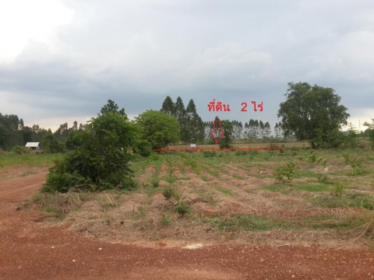 ที่ดินเปล่า ด่วนๆๆ ขายที่ดินเปล่า เกาะขนุน อ.พนมสารคาม ใกล้โรงาน บ.เอ็ม แอล ที โซล่าร์ เอเนอร์จี้ โปรดักส์ จำกัด