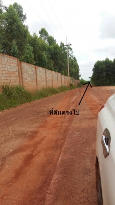 ที่ดินเปล่า ด่วนๆๆ ขายที่ดินเปล่า เกาะขนุน อ.พนมสารคาม ใกล้โรงาน บ.เอ็ม แอล ที โซล่าร์ เอเนอร์จี้ โปรดักส์ จำกัด