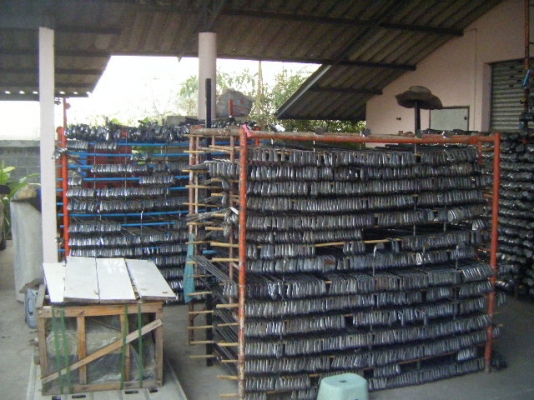 ไม้กลอฟ์