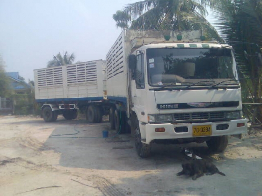 Hino P11 BoInterCooler