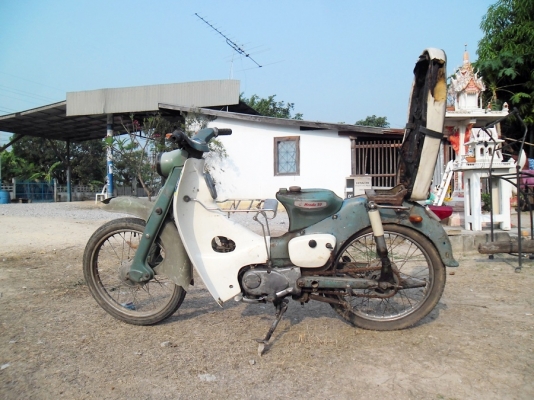 ขาย c100 แท้ ก้านกระทุ้ง แห้งๆ