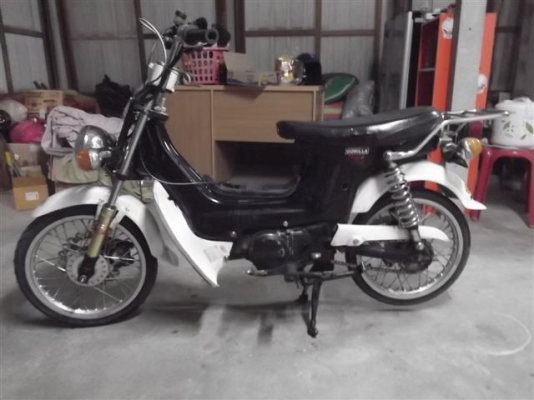 ขายชาลี เครื่องเดิมๆแต่งล้อ 14 ดิชหน้า (จัดส่งต่างจังหวัดได้ครับ) ขายชาลี เครื่องเดิมๆแต่งล้อ 14 ดิชหน้า (จัดส่งต่างจังหวัดได้ครับ)