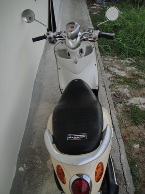 ขาย Fino รถบ้านผ้หญิงขี่