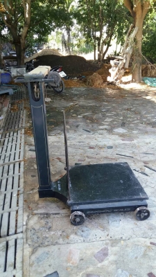 ขายตาชั่งคานเลื่อน ตรารถยนต์ (ZHUN SHENG ) 500 กก. ขายตาชั่งคานเลื่อน ตรารถยนต์ (ZHUN SHENG ) 500 กก.