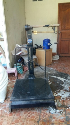 ขายตาชั่งคานเลื่อน ตรารถยนต์ (ZHUN  SHENG ) 500 กก.