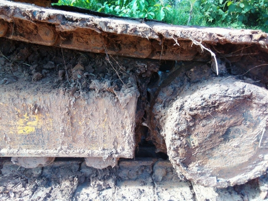 ขายด่วน