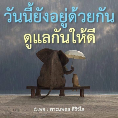 ต้องการหาซื้อชุดสีHONDA  รุ่นสมาย