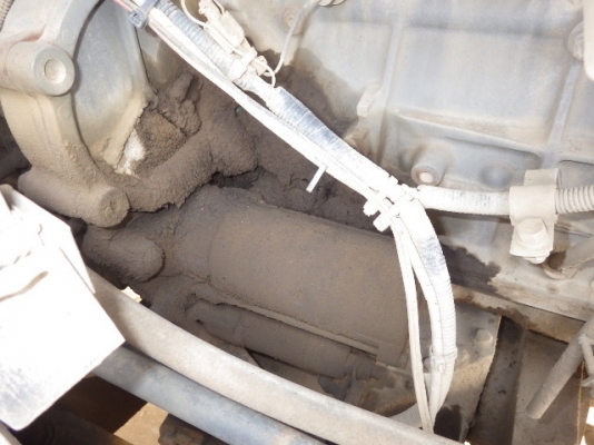 ขายรถตัก TCM L32-3 ขายรถตัก TCM L32-3