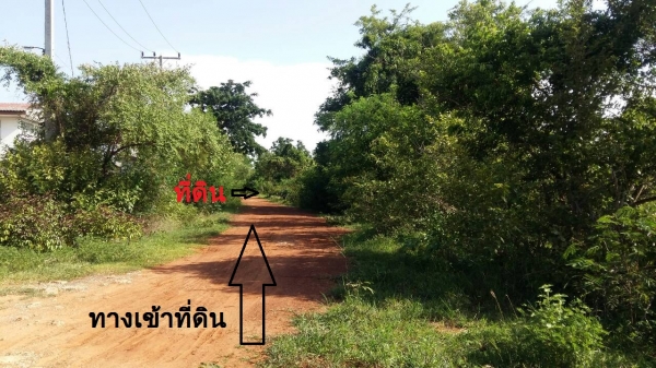ขายที่ดินใน อ.ตาพระยา จ.สระแก้ว