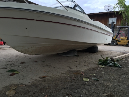 เรือตกปลา Yamaha fc21