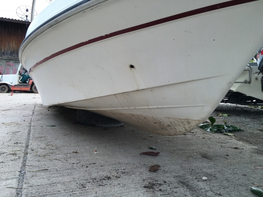 เรือตกปลา Yamaha fc21