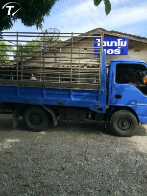 ขายกะบะพร้อมโครงข้าง