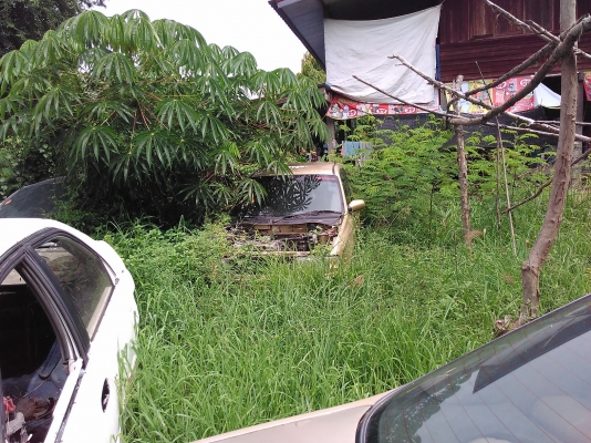 ขายเหมารวมรถหลายคัน