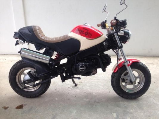 Stallion Solo 125 cc Mini Restro สวยวิ่งน้อย