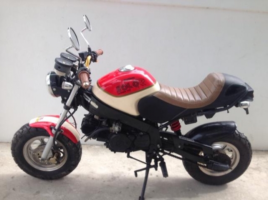 Stallion Solo 125 cc Mini Restro สวยวิ่งน้อย