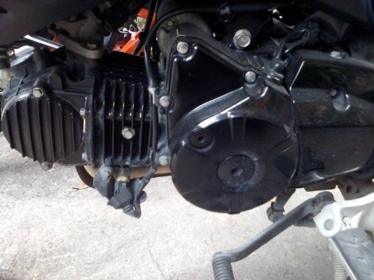 ขาย Honda MSX 125 ปี 57 เครื่องดีเดิมๆ ชุดสีสวยไม่มีรอยล้ม รถวิ่งน้อย กระจกไม่มี กุญแจมีดอกเดียว เล่มพร้อมชุดโอน ขาย Honda MSX 125 ปี 57 เครื่องดีเดิมๆ ชุดสีสวยไม่มีรอยล้ม รถวิ่งน้อย กระจกไม่มี กุญแจมีดอกเดียว เล่มพร้อมชุดโอน