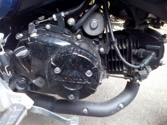 ขาย Honda MSX 125 ปี 57 เครื่องดีเดิมๆ ชุดสีสวยไม่มีรอยล้ม รถวิ่งน้อย กระจกไม่มี กุญแจมีดอกเดียว เล่มพร้อมชุดโอน