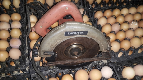 ขายเลื่อยวงเดือน 7นิ้ว maktec mt580