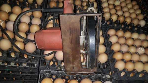 ขายเลื่อยวงเดือน 7นิ้ว maktec mt580