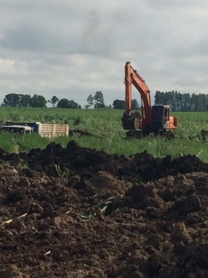 ขายHitachi Ex200-2เอกสารเล่มสภาพสวยพร้อมใช้ติดต่อคุณอ๊อฟพิจิตร086-737-9991 ขายHitachi Ex200-2เอกสารเล่มสภาพสวยพร้อมใช้ติดต่อคุณอ๊อฟพิจิตร086-737-9991