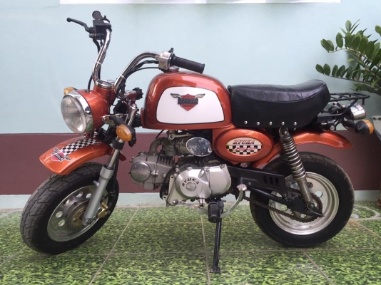 ขายกอลิล่าสีส้ม