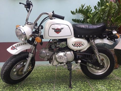 ขายกอลิล่าสีขาว