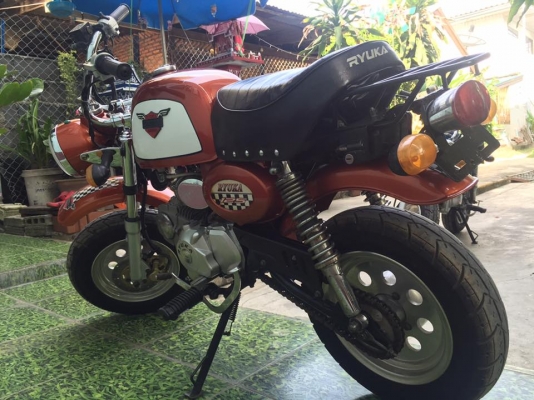 ขายกอลิล่าสีส้ม คันที่ 2