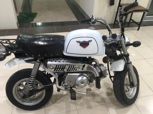 ขายกอลิล่า สีขาว ขายกอลิล่า สีขาว