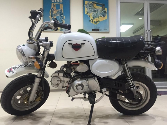 ขายกอลิล่า สีขาว