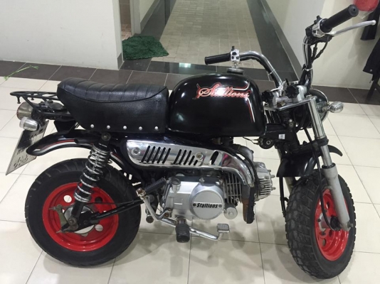 ขายกอลิล่า สีดำล้อแดง ขายกอลิล่า สีดำล้อแดง