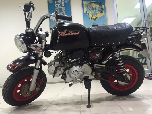 ขายกอลิล่า สีดำล้อแดง