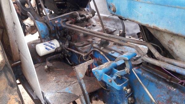 ขาย 6600 เสื้อลาย