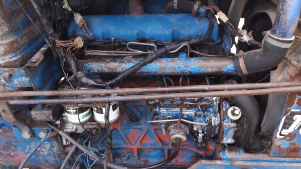 ขาย 6600 เสื้อลาย