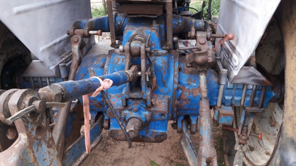 ขาย 6600 เสื้อลาย