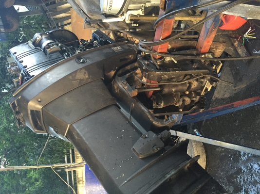 ขาย tohatsu 60hp ทริมไฟฟ้าเก่าญี่ปุ่น