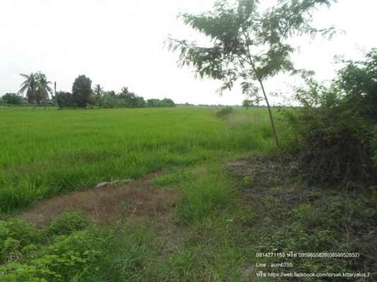 ขาย ที่ดินเปล่า (คู้ซ้าย)ถ.คู้คลองสิบ หนองจอก กทม ขาย ที่ดินเปล่า (คู้ซ้าย)ถ.คู้คลองสิบ หนองจอก กทม