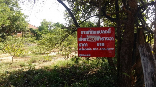 ขายที่ดินใน อ.ตาพระยา