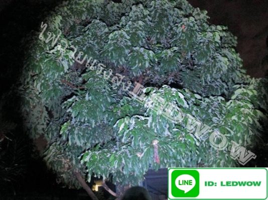 ขายไฟฉายแรงสูง LED  XML2 สำหรับตกปลาและเดินป่า