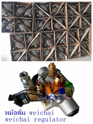 อะไหล่CNGของSino/Sdec/Weichai/Shacman/Foton/Faw/Hino