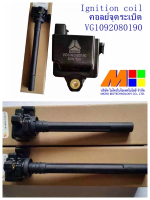 อะไหล่CNGของSino/Sdec/Weichai/Shacman/Foton/Faw/Hino