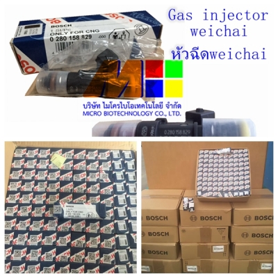 อะไหล่CNGของSino/Sdec/Weichai/Shacman/Foton/Faw/Hino