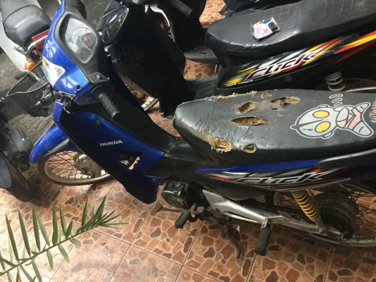 ขายเหมา 7คัน ขายเหมา 7คัน