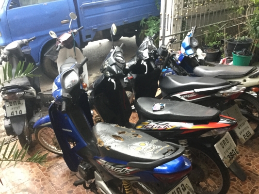 ขายเหมา 7คัน ขายเหมา 7คัน