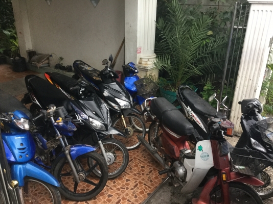 ขายเหมา 7คัน ขายเหมา 7คัน