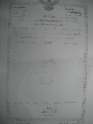 ขายที่ดิน อ.เชียงดาว จ.เชียงใหม่ 1-0-40